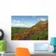 Haytor Rocks Dartmoor Covered Wall Decal