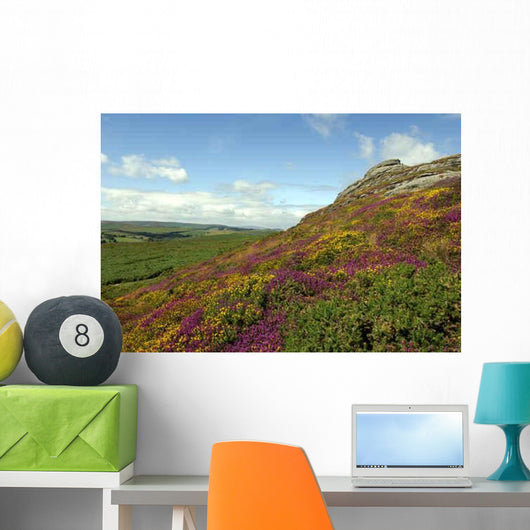 Haytor Rocks Dartmoor Covered Wall Decal