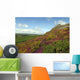 Haytor Rocks Dartmoor Covered Wall Decal