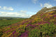 Haytor Rocks Dartmoor Covered Wall Decal