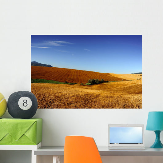 Tuscany 