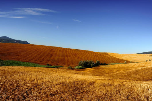 Tuscany 