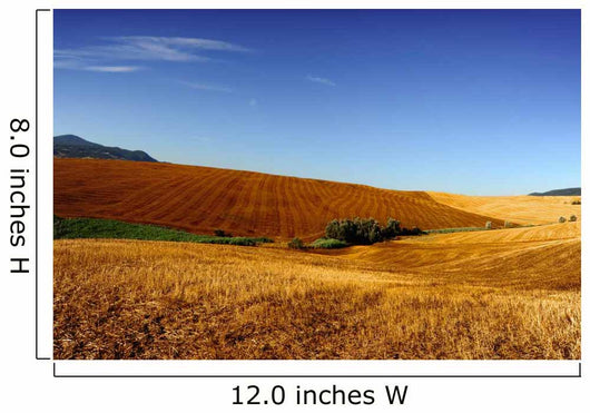 Tuscany 