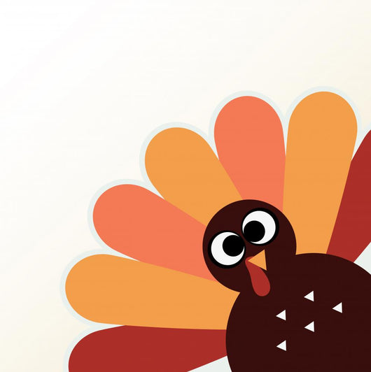 Beautiful Cartoon Turkey Bird Wall Mural – Wallmonkeys