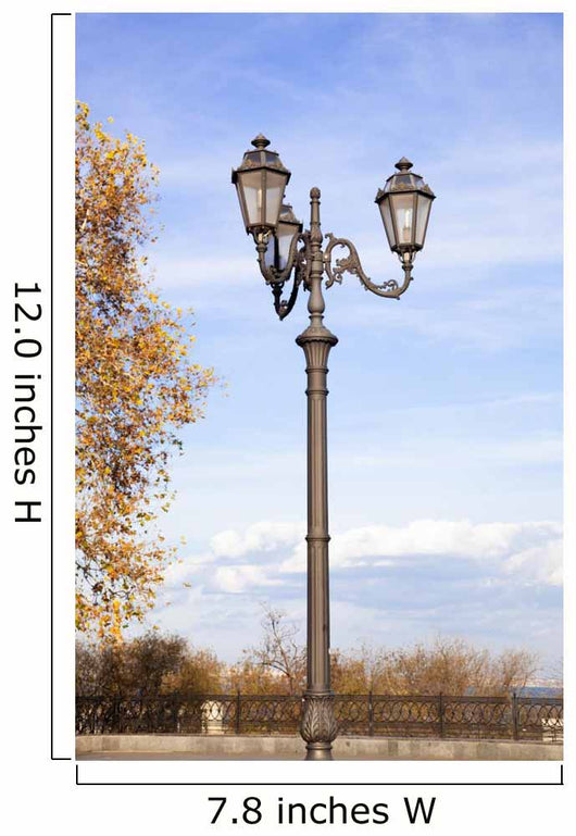 Lamp in my city. 