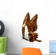 butterfly macro background Wall Mural