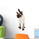 Siamese Cat Wall Decal