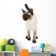 Siamese Cat Wall Decal