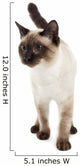 Siamese Cat Wall Decal
