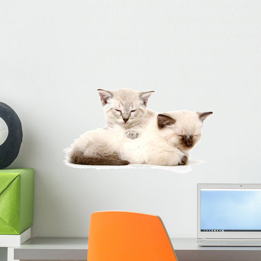 Two Cute Kittens Sleeping Wall Decal