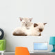 Two Cute Kittens Sleeping Wall Decal