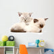Two Cute Kittens Sleeping Wall Decal
