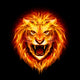 Head of fire lion. Wall Mural