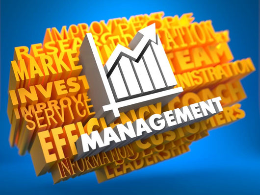Management. Wordcloud Concept. Wall Mural
