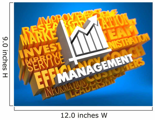 Management. Wordcloud Concept. Wall Mural
