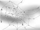 Spider web 
