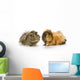 Guinea Pigs Wall Decal