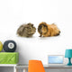 Guinea Pigs Wall Decal