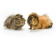 Guinea Pigs Wall Decal