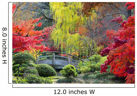 Moon Bridge in the Japanese Gardens 