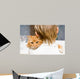 The red cat sitting on a shoulder at the child 