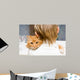 The red cat sitting on a shoulder at the child 