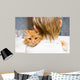 The red cat sitting on a shoulder at the child 
