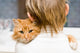 The red cat sitting on a shoulder at the child 
