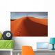 Man Desert Wall Decal
