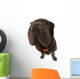 Black Sharpei  Wall Mural