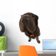 Black Sharpei  Wall Mural
