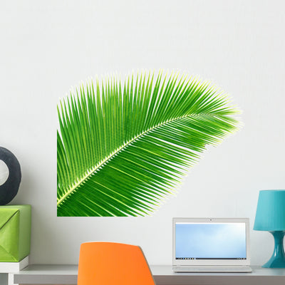 Coconut Palm Leaf Wall Decal shown on a wall