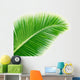 Coconut Palm Leaf Wall Decal