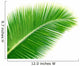 Coconut Palm Leaf Wall Decal