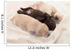 three labrador retriever puppies 