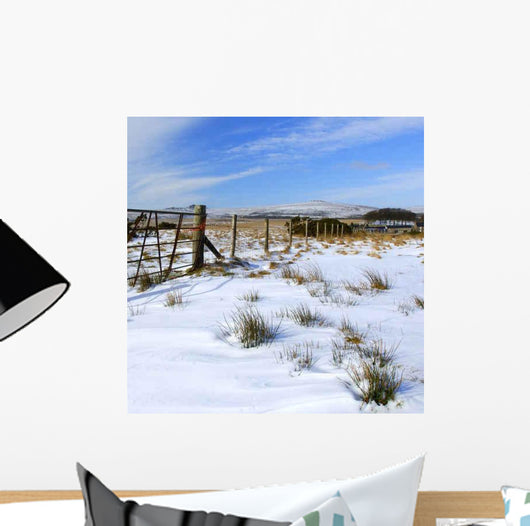 Bleak Snowy Scene Taken Wall Decal