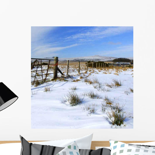 Bleak Snowy Scene Taken Wall Decal