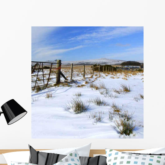 Bleak Snowy Scene Taken Wall Decal