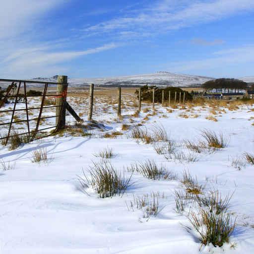 Bleak Snowy Scene Taken Wall Decal