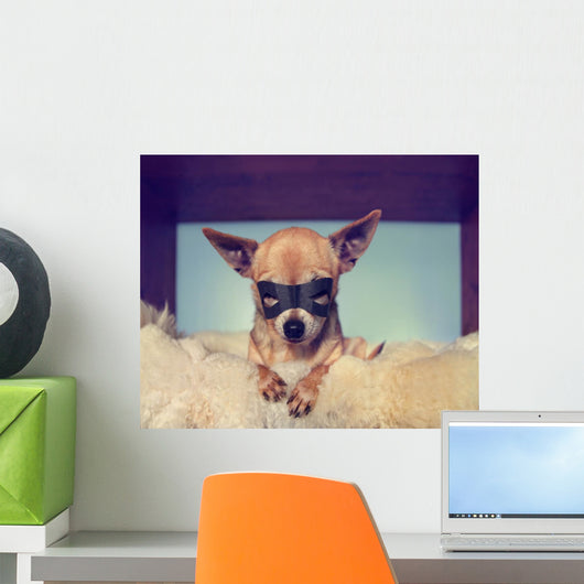 Cute Chihuahua Blanket with Wall Decal