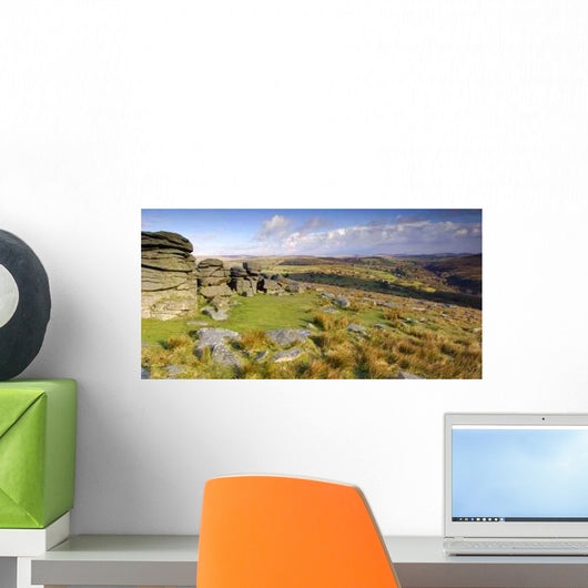 Panoramic Combestone Tor Dartmoor Wall Decal