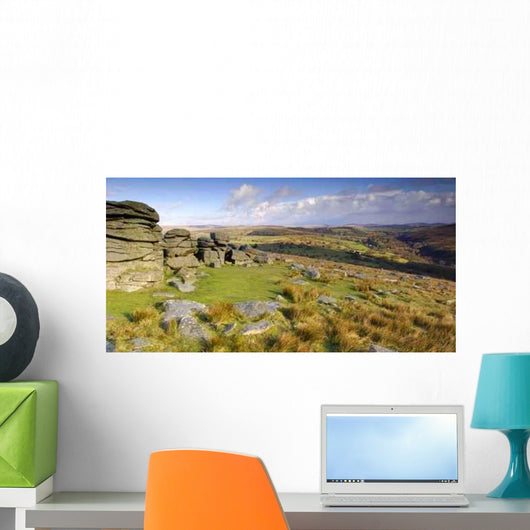 Panoramic Combestone Tor Dartmoor Wall Decal