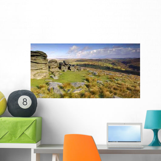 Panoramic Combestone Tor Dartmoor Wall Decal