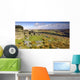 Panoramic Combestone Tor Dartmoor Wall Decal