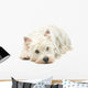 West Highland White Terrier Wall Decal