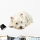 West Highland White Terrier Wall Decal