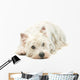 West Highland White Terrier Wall Decal