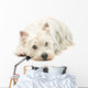 West Highland White Terrier Wall Decal