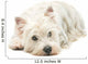 West Highland White Terrier Wall Decal