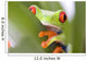 frog macro - a red-eyed tree frog (Agalychnis callidryas) 